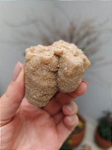 Estromatólito