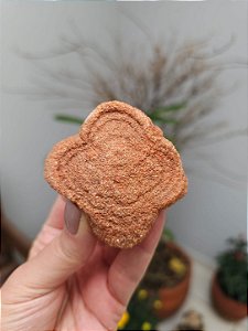 Estromatólito