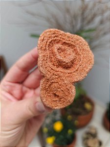 Estromatólito