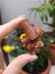 Aragonita Sputnik
