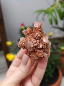 Aragonita Sputnik