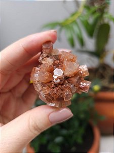 Aragonita Sputnik