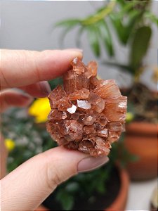 Aragonita Sputnik