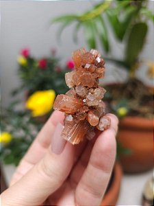 Aragonita Sputnik