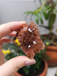 Aragonita Sputnik