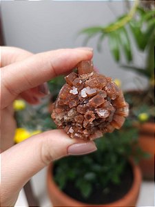 Aragonita Sputnik