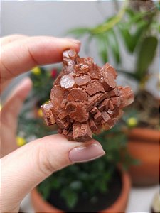 Aragonita Sputnik
