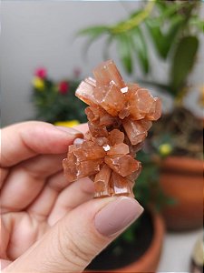 Aragonita Sputnik