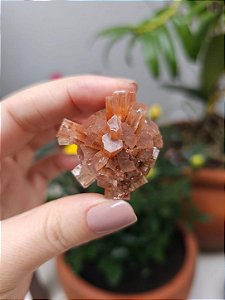 Aragonita Sputnik
