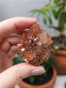 Aragonita Sputnik