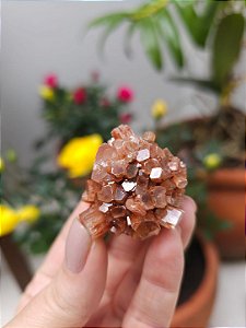 Aragonita Sputnik