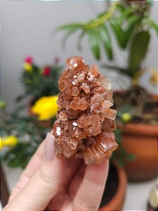 Aragonita Sputnik
