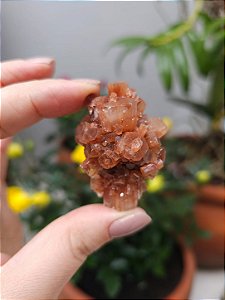 Aragonita Sputnik