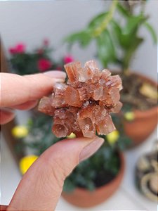 Aragonita Sputnik
