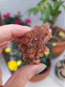 Aragonita Sputnik