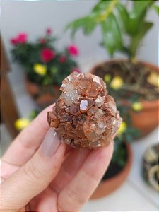 Aragonita Sputnik