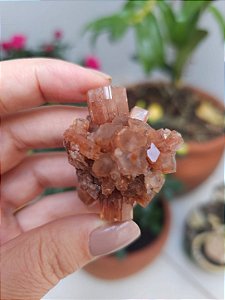 Aragonita Sputnik
