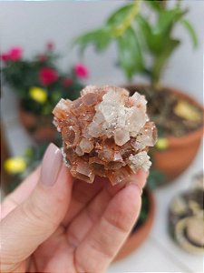 Aragonita Sputnik