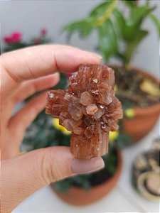 Aragonita Sputnik