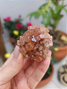 Aragonita Sputnik