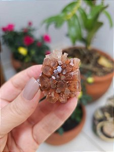 Aragonita Sputnik