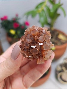 Aragonita Sputnik