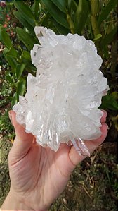 Drusa de Cristal Rosa