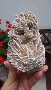 Rosa do Deserto