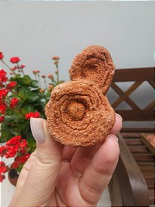 Estromatólito