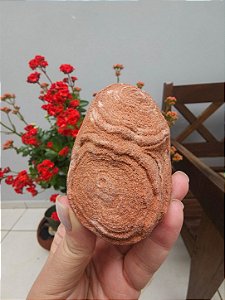 Estromatólito