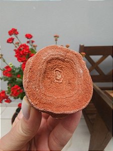 Estromatólito