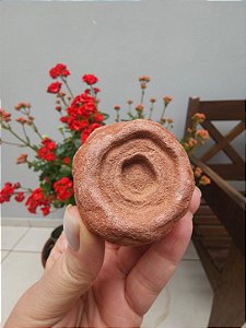 Estromatólito