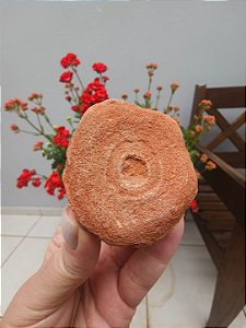 Estromatólito