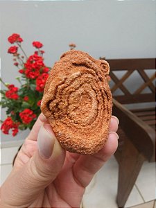 Estromatólito