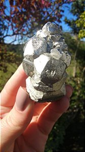Pirita Peruana