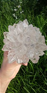 Flor de Cristal
