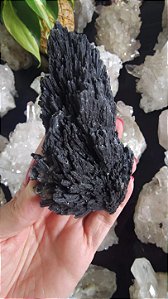 Cianita Negra - Vassoura de Bruxa