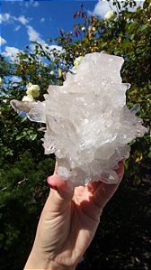 Drusa de Cristal