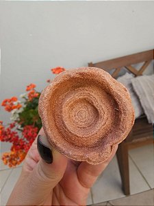 Estromatólito