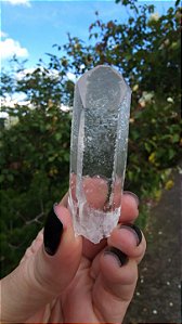 Cristal Semente Estelar Enraizador