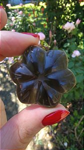 Agni Manitite – Peróla do Fogo Sagrado