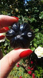 Agni Manitite – Peróla do Fogo Sagrado