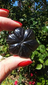 Agni Manitite – Peróla do Fogo Sagrado