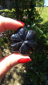 Agni Manitite – Peróla do Fogo Sagrado
