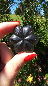 Agni Manitite – Peróla do Fogo Sagrado