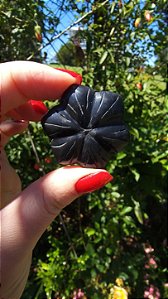 Agni Manitite – Peróla do Fogo Sagrado