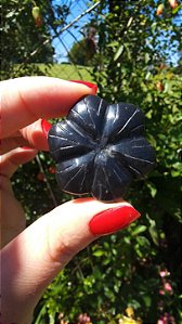 Agni Manitite – Peróla do Fogo Sagrado