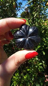 Agni Manitite – Peróla do Fogo Sagrado