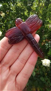 Libélulas esculpidas em Âmbar
