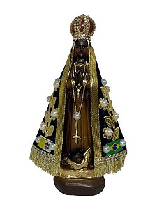 IMAGEM NS APARECIDA TRADICIONAL 20CM - UNI